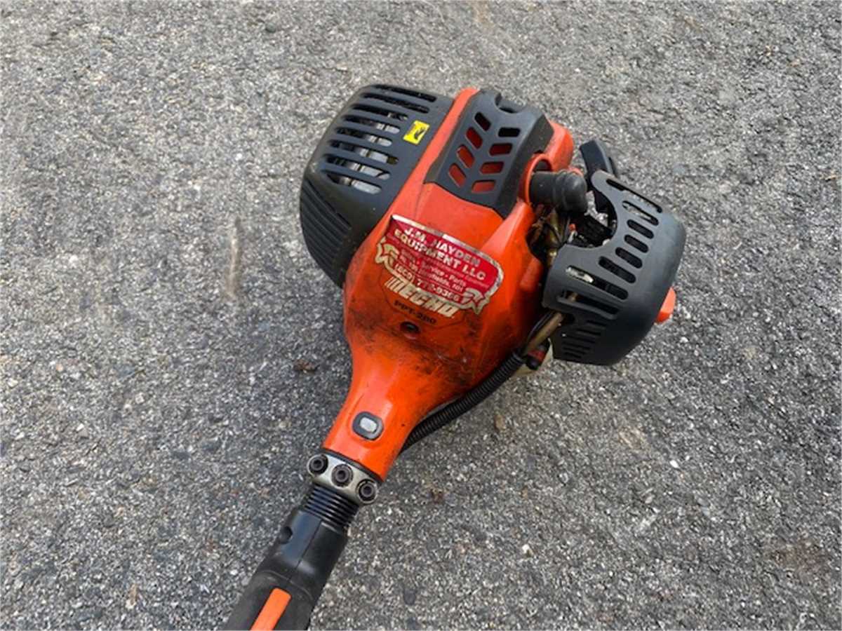Echo PPT280 Gas Pole Saw Power Telescoping Pruner Online Government