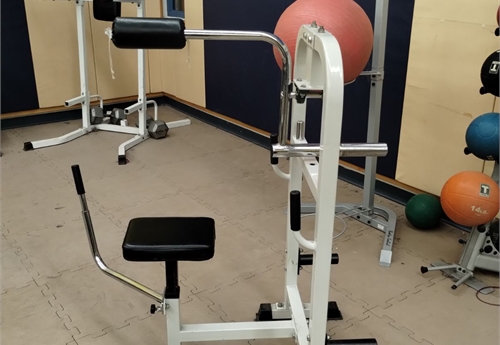 Weight Lifting Plate Loaded Neck Machine (MHS 01)