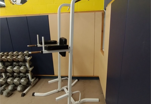 Weight Lifting Pull Up Bar and Dip Station (MHS 02)