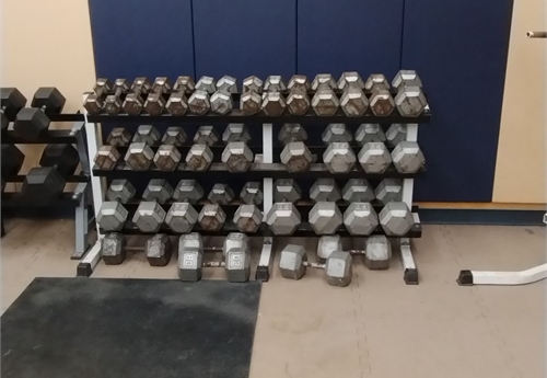 Weight Lifting Dumb Bells w/ storage stand (MHS 03)